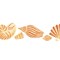 Detailed Shell Wall Stencil Border | 097 by Designer Stencils | Animal & Nature Stencils | Reusable Art Craft Stencils for Painting on Walls, Canvas, Wood | Reusable Plastic Paint Stencil for Home Makeover | Easy to Use & Clean Art Stencil